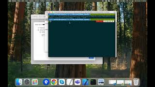 How to Fix Bitcode Errors in Xcode 16 (Step-by-Step)