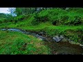 Natural River Sounds Nature Sounds White Noise Water Sounds for Deep Sleep, Stress Relief, and Study