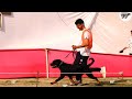 Emma at VomGehlaut || Aligarh Rottweiler Speciality Show Performance ||