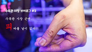 수족관 사장 브이로그 #3 - 수족관 사장 손엔 피가 마를 날이 없다..