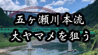 【本流】五ヶ瀬本流下流域でついに…
