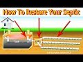 Restoring A Septic Drain Field: First Steps (Least Vs. Most Expensive)