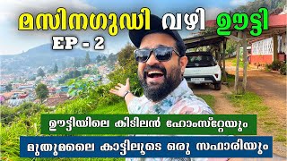 ഊട്ടിയിലെ ഹോംസ്റ്റേയും, മുതുമലൈ കാട്ടിലെ സഫാരിയും | OOTY | MUDHUMALAI TIGER RESERVE- PART 2 -Vlog 40