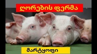 ღორების ფერმა მარტყოფში...