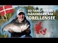 Angeln in Dänemark am Forellensee🎣 Tackle, Methoden und Bestimmungen zum Forellenangeln