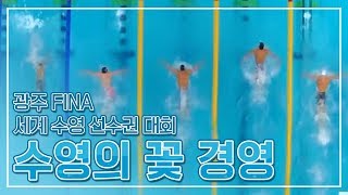 수영의 꽃 '경영' [2019 광주세계수영선수권대회 FINA World Championships GWANGJU]