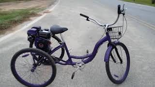 My motorized . Schwinn meridian