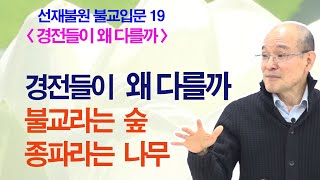 [불교입문 019] 경전들이 왜 다를까 - 불교라는 숲의 종파라는 나무