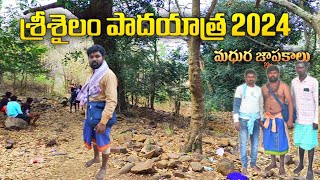 Srisailam padayatra 2024 | Nallamalla forest