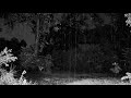 R.V - TABULA RASA ft. KOZINAK