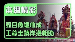 魚塭收成竟需要王爺監工？ 親自坐鎮岸邊相助保豐收！｜本週精彩｜寶島神很大