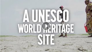 UNESCO: Protect the Sundarbans, not coal!