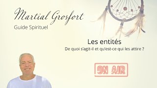 Qu'est-ce qu'une entité ?