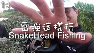 Play Fish 14, 雷強這樣玩 Snakehead Fishing this way