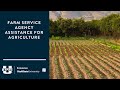 Farm Service Agency Assistance for Agriculture