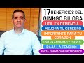 17 BENEFICIOS DEL GINKGO BILOBA USO EN DEMENCIA CORAZÓN Y DISFUNCIÓN ERÉCTIL