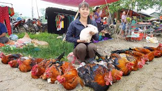 Chicken Farm Harvest Day! Harvesting Chicken (Rooster) Goes To Market Sell - Animals Care