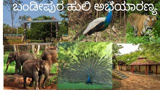 Bandipura Forest Mysore ಬಂಡೀಪುರ ಹುಲಿ ಅಭಯಾರಣ್ಯ