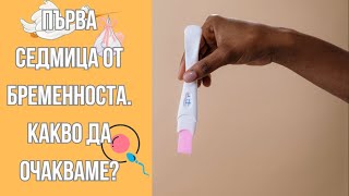 Първа седмица от бременността: Очаквания и съвети за бъдещи майки