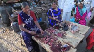 インドの魚市場を歩こう　Fish market in India