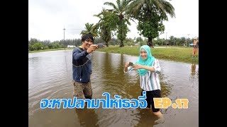 จะหาปลามาให้เธอจี่  EP.17 แค่ฝนตกขังในแอ่งน้ำก็ดักปลาได้เต็มอวน Nature lot of fish