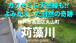 神戸市長田区丸山町「苅藻川」