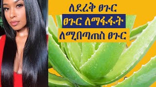 ከሬት የሚዘጋጁ ለወዛማ ፀጉር | ለወፍራም ፀጉር | ፀጉር እንዳይበጣጠስ   Aloe Vera Preparation 3 Types