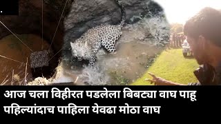 आज चला विहीरत पडलेला बिबट्या वाघ पाहू पहिल्यांदाच पाहिला येवढा मोठा वाघ