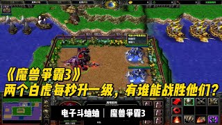 《魔兽争霸3》，两个白虎每秒升一级，有谁能战胜他们？#Warcraft3#魔兽争霸3 #电子斗蛐蛐 #游戏解说