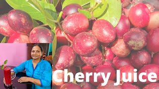 How to make Cherry juice at home | അടിപൊളി ചെറി ജ്യൂസ് എങ്ങനെ വീട്ടിൽ തയാറാക്കാം? | Karonda fruit