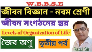 জীবন সংগঠনের স্তর ০০৩।।WBBSE।।Class 9 ।। Life Science Chapter 2।। Biomolecules।। জৈব অণু।।