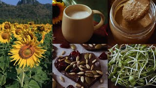 Recipes you can make with sunflower seeds 🌻