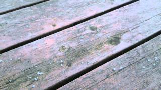 Ice Pellets in Spring