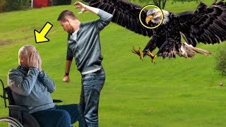Cruel Son Attacked His Paralyzed Father, Then an Eagle Appeared & Did The Unthinkable!