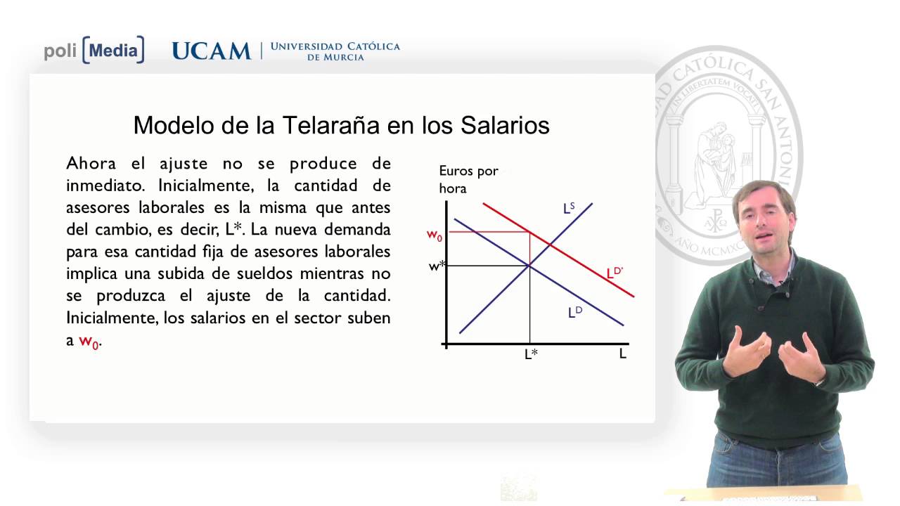 Economía Del Trabajo - El Modelo De La Telaraña En El Mercado De ...