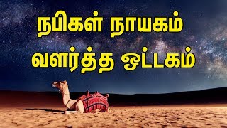 நபிகள் நாயகம் வளர்த்த ஒட்டகம் | Tamil Muslim TV | Tamil Bayan