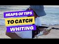 Great TIPS | Beach Whiting Fishing