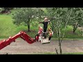 Giant maple tree removal with a CMC 92hd spider lift