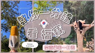 Vlog039 | 教你一分鐘看#福寶 攻略 🐼(交通／門票） #푸바오 #에버랜드 #everland #愛寶樂園 #한국 #한국여행 @ktotaipeivideo