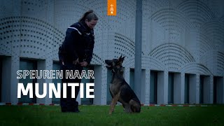 Oefening met explohonden in het Justitieel Complex Schiphol