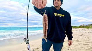 Beach Fishing with a Dingle Dangle Rig ?!?