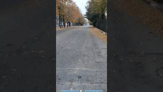 🇺🇦 Запорожье. 23.10.23. Осень возле СБУ. Улица Александровская/Дзержинского. #zp #ua