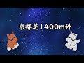 【競馬徹底攻略】京都芝1400ｍ 閃騎マイラ競馬場コース図鑑【 京都競馬場 スワンｓ　 ファンタジーs 】この動画一本で京都1400ｍ完全攻略！