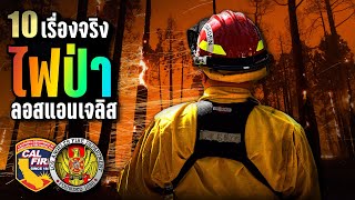 10 เรื่องจริง 🔥 ไฟป่าลอสแอนเจลิส (LA) 🔥 เกิดจากอะไร? ทำไมไม่ใช้น้ำทะเล? | LUPAS