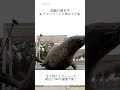 【マリンワールド】春休みのお出かけスポットにぴったり🦦 福岡観光 アザラシ 福岡