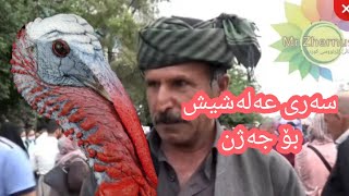 پیاوێك لەبەر نەبوونی سەری قەل عەلەشیش دەکڕێت بۆ ماڵەوە بۆ جەژنی ڕەمەزان