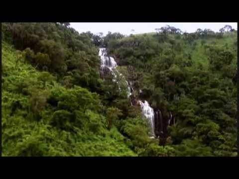 The Nature Conservancy 60 Years Of Conservation Youtube