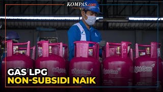 Harga LPG Non-Subsidi Naik Lagi