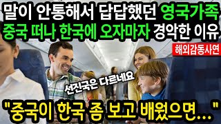 《해외감동사연》 "중국이 한국좀 보고 배웠으면..." 말이 안 통해서 답답했던 영국가족, 중국떠나 한국에 오자마자 경악한 이유