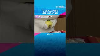 「ひこにゃん」鈴を鳴らして大喜び　バレンタインデーに全国から189個のチョコが届く　滋賀・彦根市